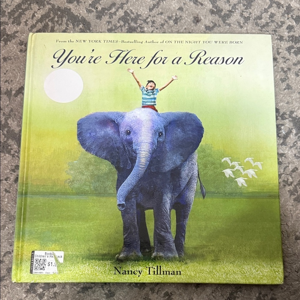 You're Here for a Reason Book by Nancy Tillman
